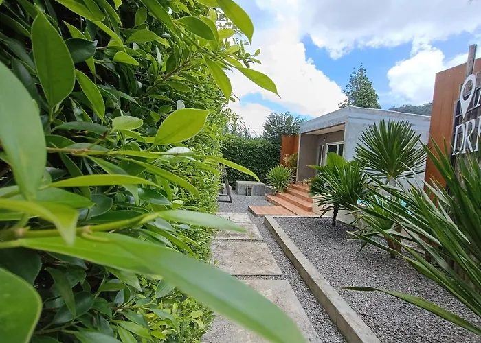 Anita Dream House